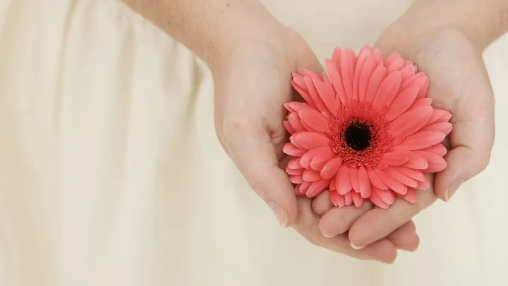 Beleza Transformadora