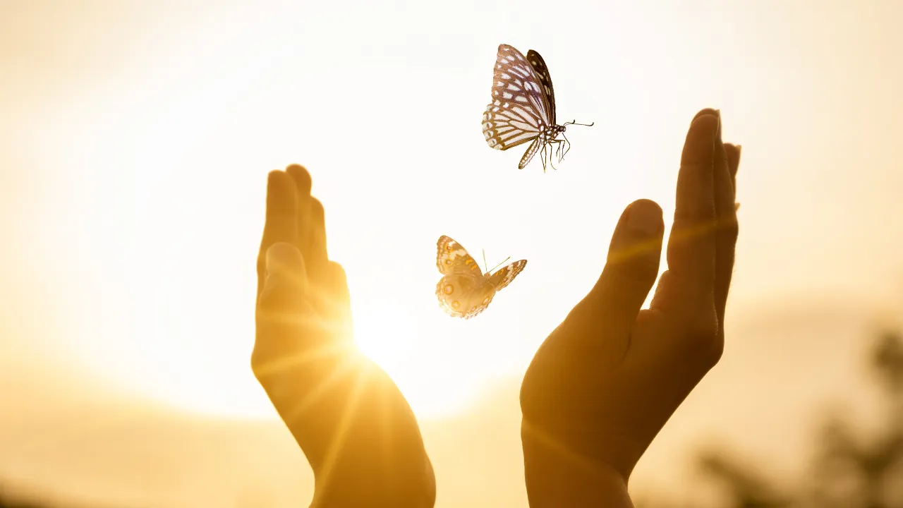Cabelo e Emoção: 7 Maneiras de Como o Corte  Alivia a Alma e Renova Sua Essência